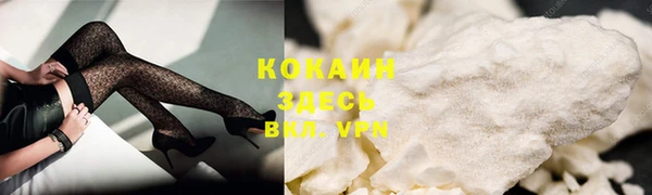 соль ск Абаза